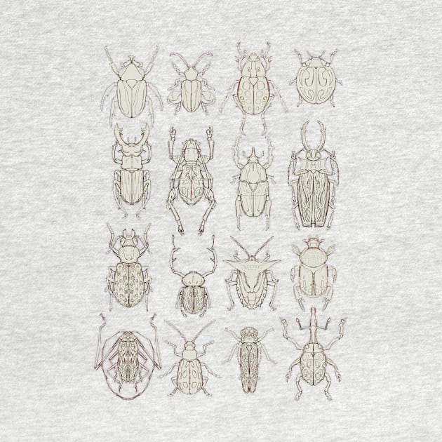 Coleoptera by banditotees